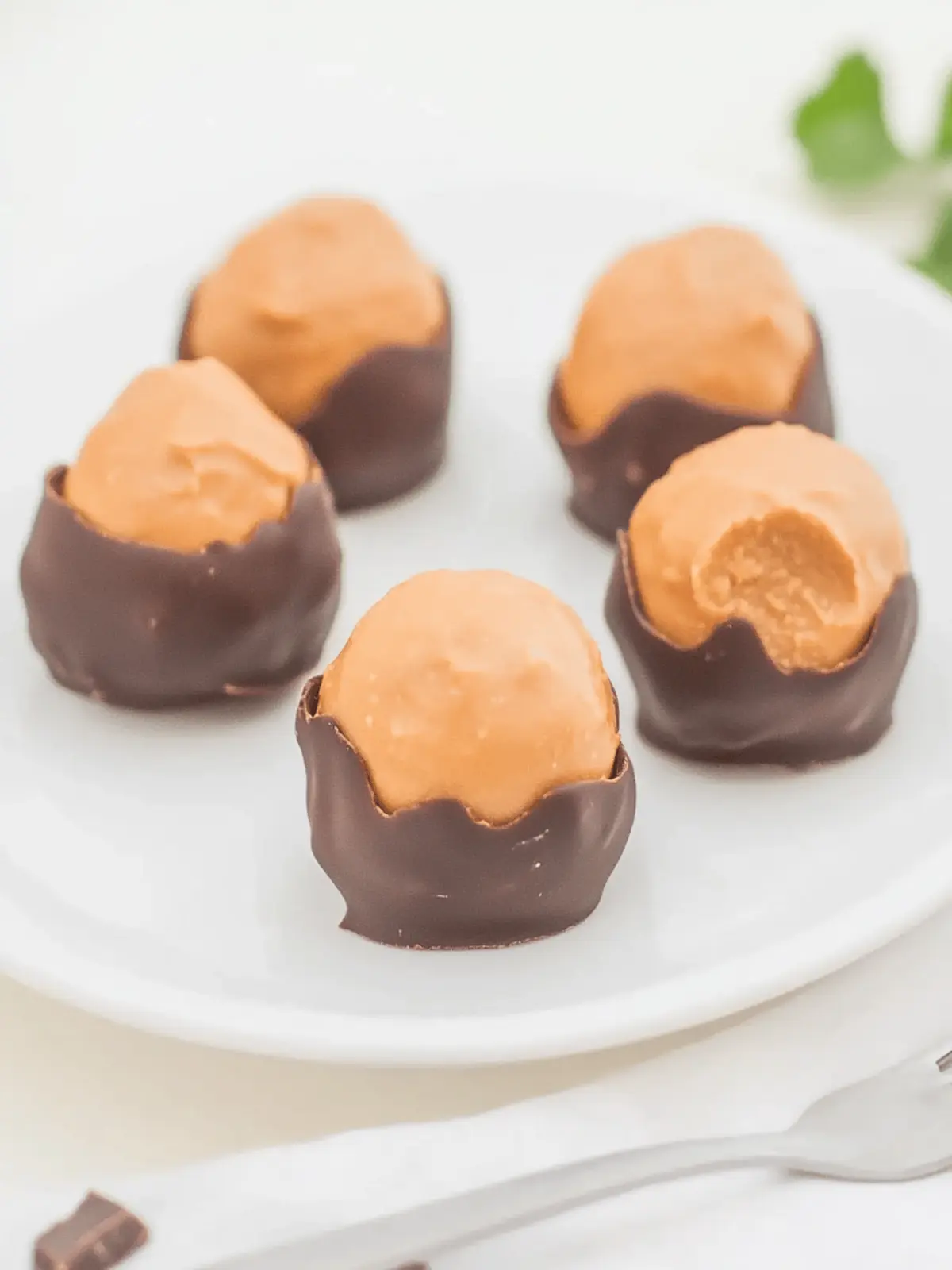 Irresistible Chocolate-Dipped Peanut Butter Buckeye Balls Recipe 4 Chocolate-Dipped Peanut Butter Buckeye Balls