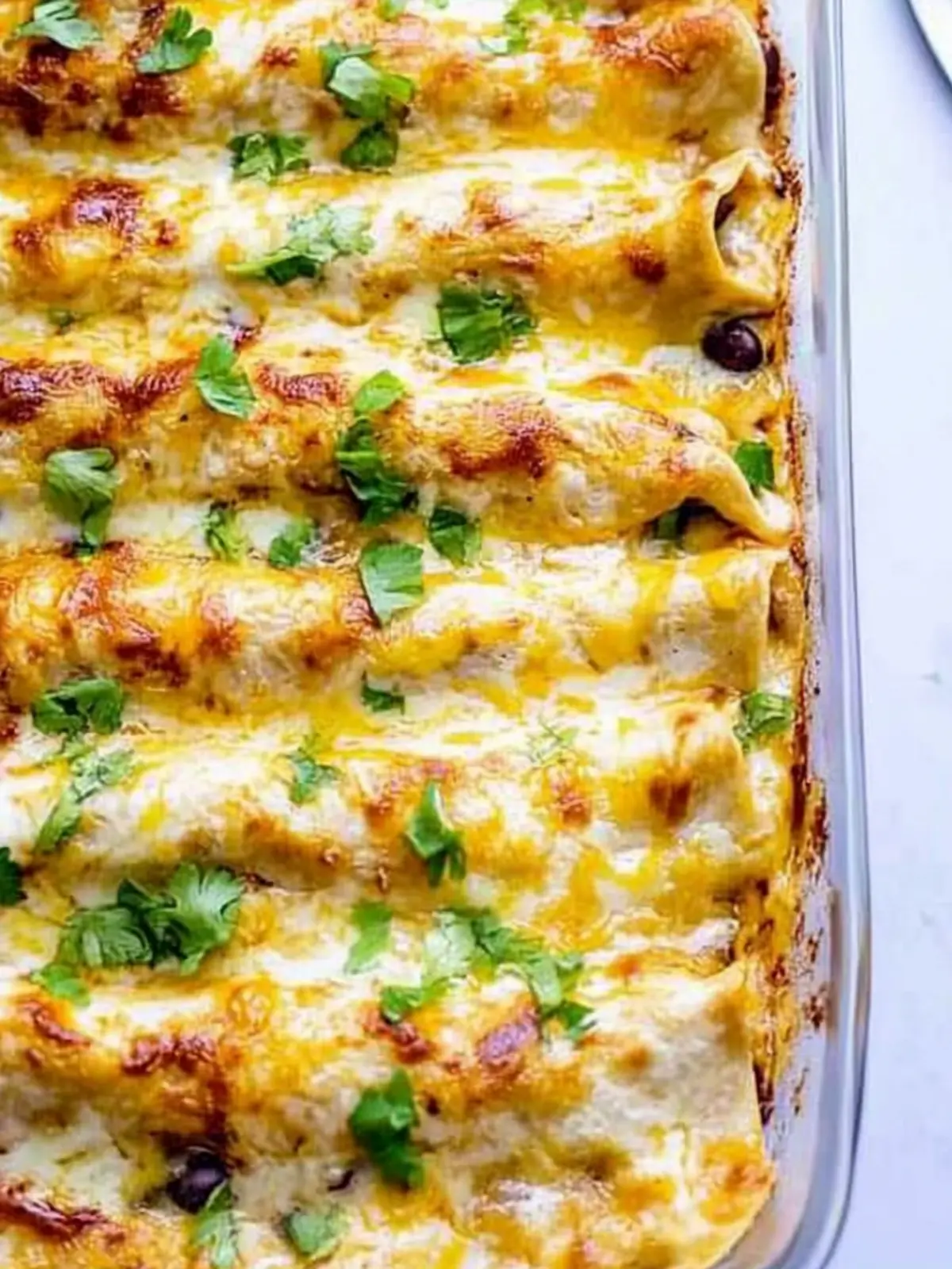 Spicy Black Bean Chicken Enchiladas for Quick Family Dinners 4 Spicy Black Bean Chicken Enchiladas