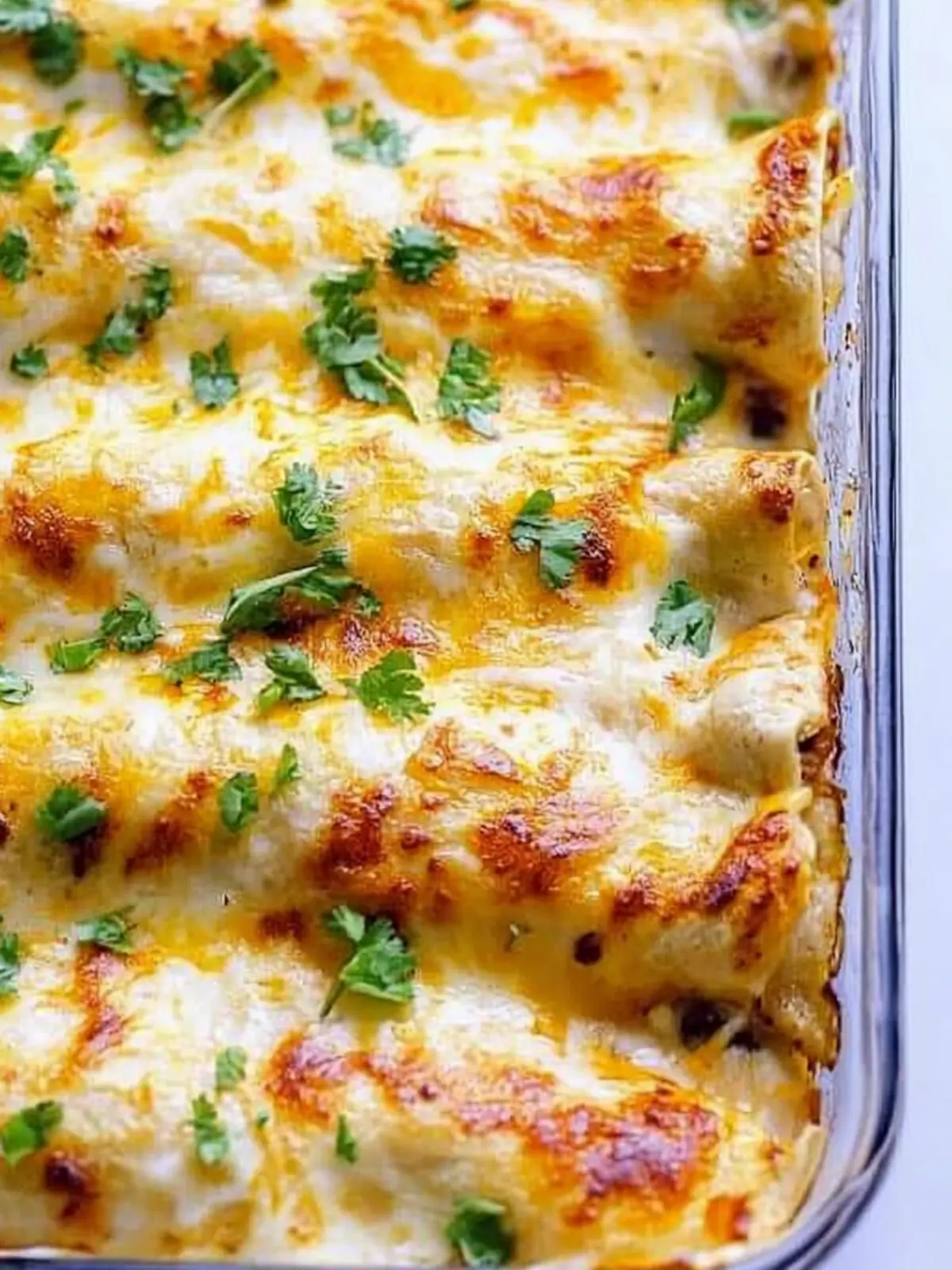 Spicy Black Bean Chicken Enchiladas for Quick Family Dinners 3 Spicy Black Bean Chicken Enchiladas